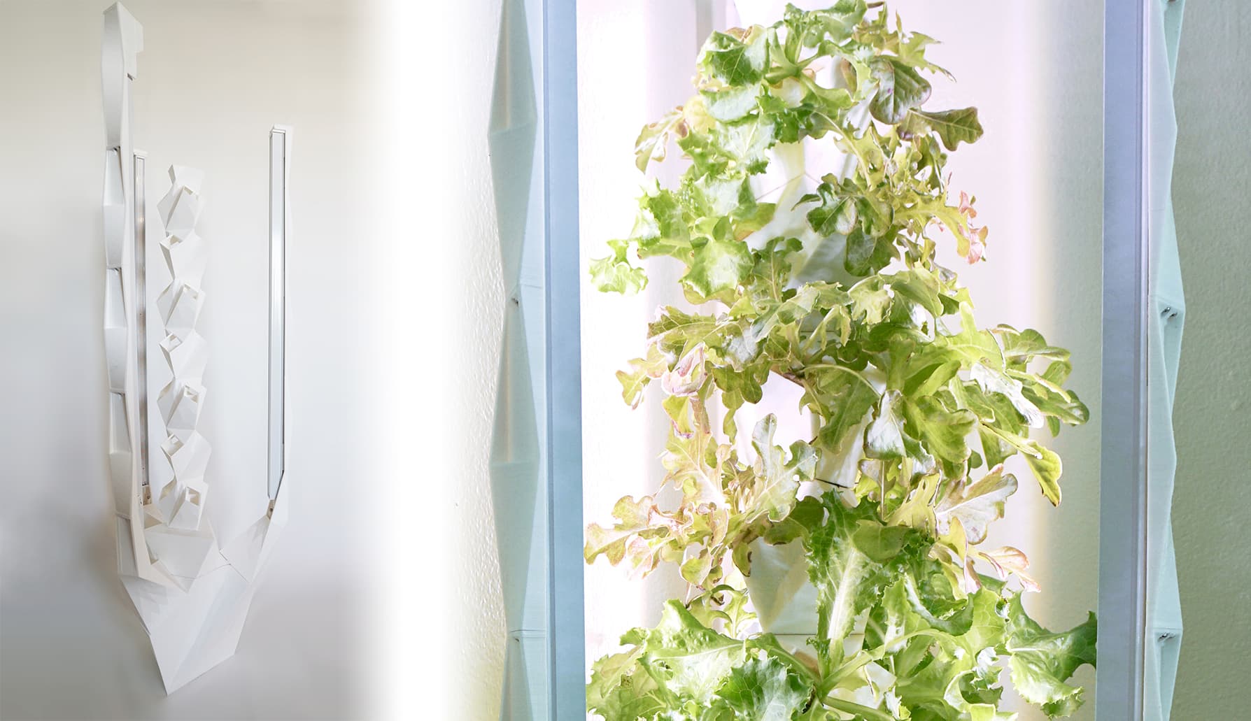 Folia hydroponic device